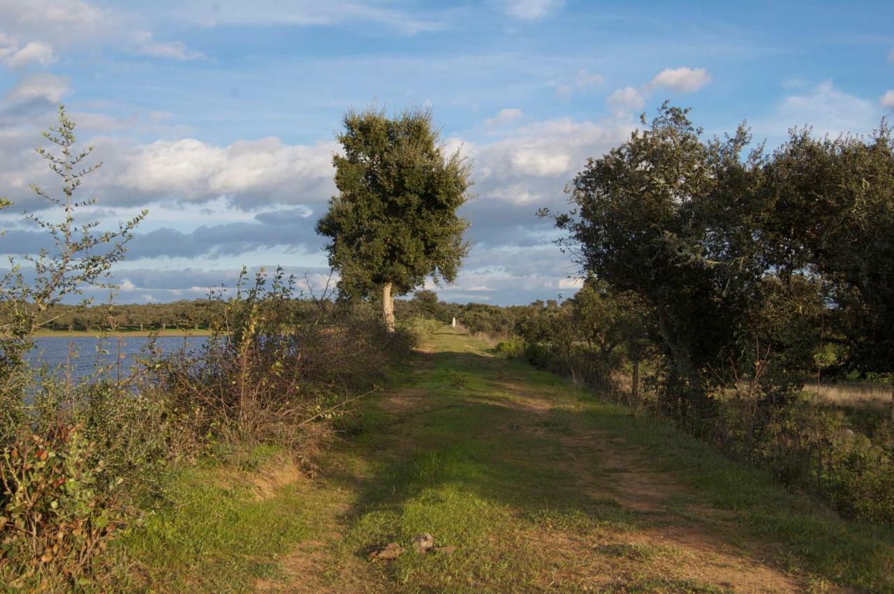 Herdade Da Burquilheira Family Retreat Alcáçovas Extérieur photo