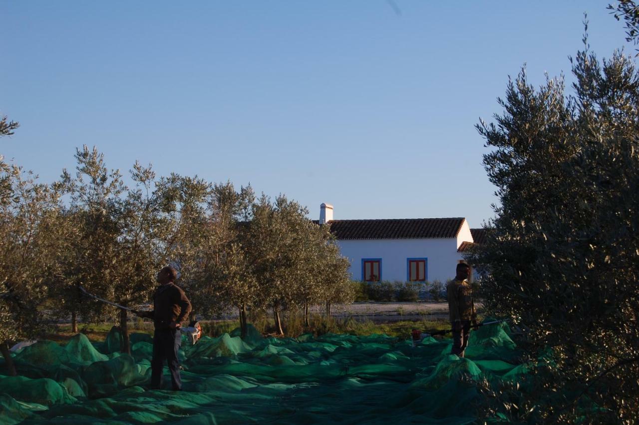 Herdade Da Burquilheira Family Retreat Alcáçovas Extérieur photo